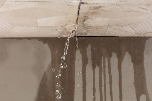 Professional Structural Drying technician working in Tenafly, NJ